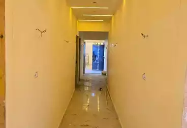 Properties For rent - 3 rooms - floor 5