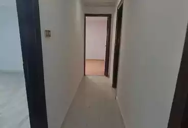 Apartments For rent - 2 rooms - floor 5