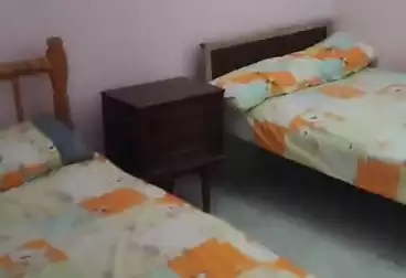 عقارات للإيجار - 2 غرف - بالدور 0