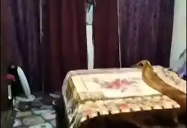 عقارات للبيع - 3 غرف - بالدور 11