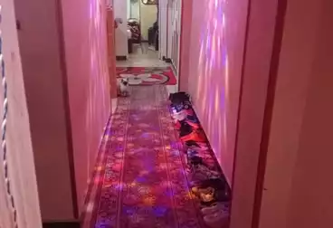 undefined undefined - 2 rooms - floor 1