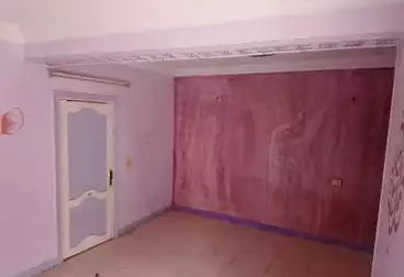 Apartments For rent - 2 rooms - floor 3