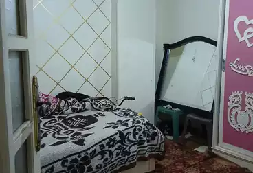 undefined undefined - 3 rooms - floor 1