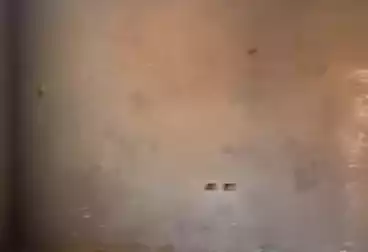 Apartments For sale - 3 rooms - floor 0