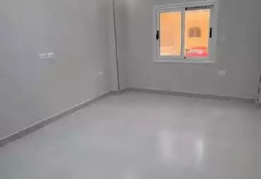 Apartments For rent - 3 rooms - floor 0