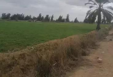 أرض زراعية للبيع
