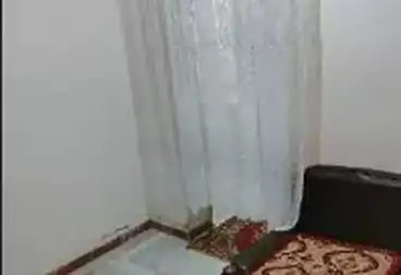 شقق مفروشة للإيجار - 2 غرف - بالدور 2