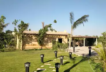 Villas For sale - 7 rooms