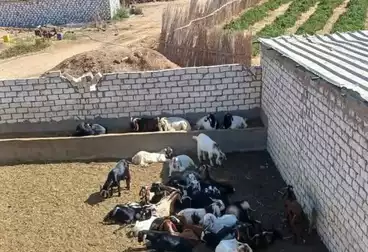Farm For sale