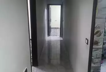 Apartments For rent - 3 rooms - floor 2