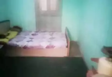 Shared Room For rent - floor 0