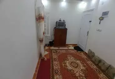 Apartments For sale - 3 rooms - floor 7