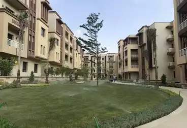Apartments For sale - 3 rooms - floor 1