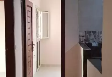 Properties For rent - 3 rooms - floor 5