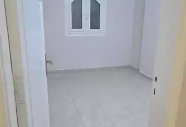 Apartments For rent - 3 rooms - floor 5