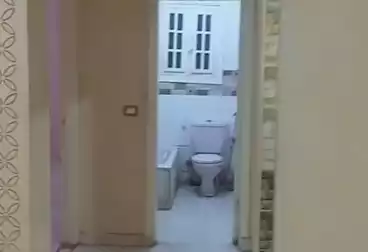 شقق للإيجار - 2 غرف - بالدور 7