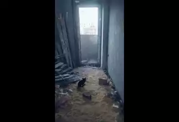 undefined undefined - 2 rooms - floor 5