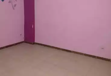 Apartments For rent - 3 rooms - floor 1