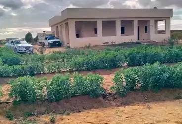 Farm For sale