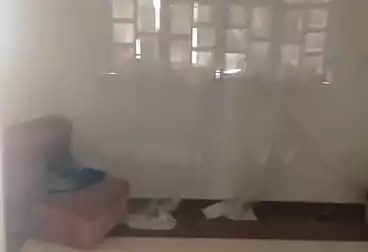 undefined undefined - 2 rooms - floor 11