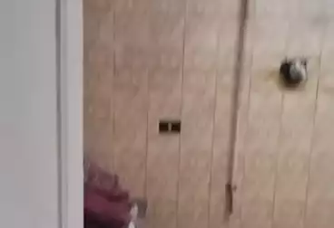 Apartments For rent - 3 rooms - floor 1