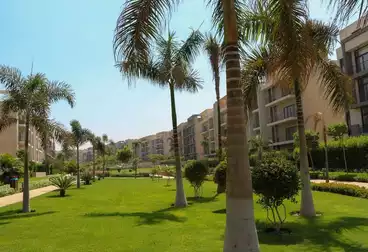عقارات للبيع - 3 غرف - بالدور 1