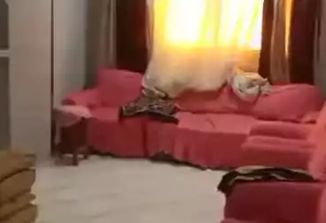Furnished Apartment For rent - 3 rooms - floor 7