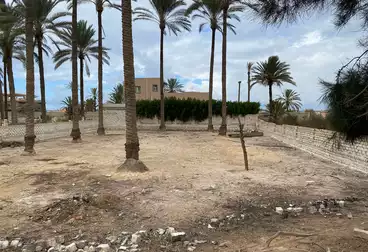 Properties For sale