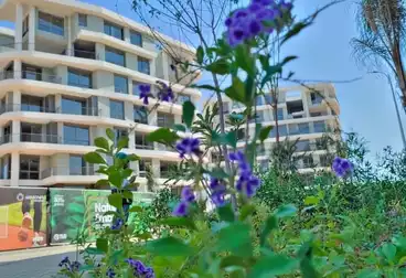 Apartment with Garden For sale - 3 rooms - floor 0