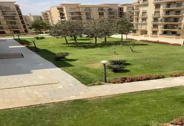 شقق للإيجار - 3 غرف - بالدور 2