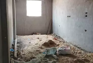 undefined undefined - 2 rooms - floor 6