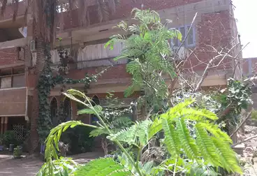 Building For sale - 9 rooms