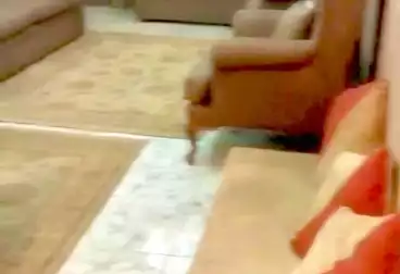 undefined undefined - 2 rooms - floor 10