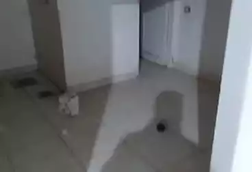 Properties For rent - floor 0