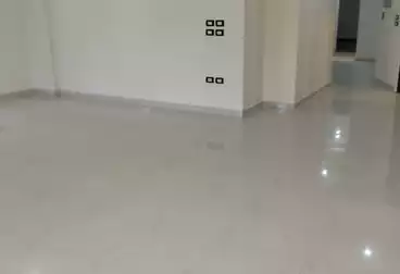 Apartments For rent - 3 rooms - floor 1