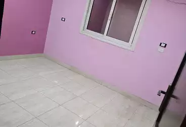 Apartments For rent - 4 rooms - floor 7