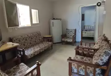 شقق مفروشة للإيجار - 3 غرف - بالدور 1