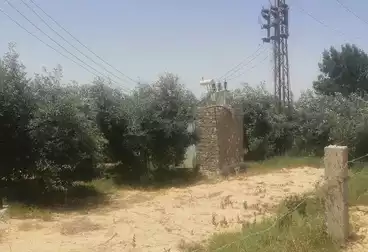 أرض زراعية للبيع