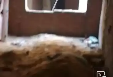 Apartments For sale - 2 rooms - floor 11