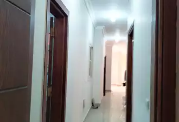 Apartments For rent - 3 rooms - floor 1