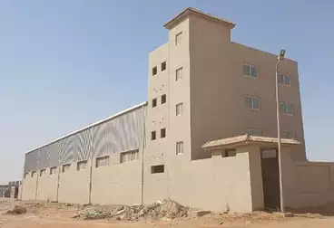 مصنع للإيجار