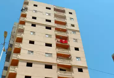 شقق للبيع - 3 غرف - بالدور 11
