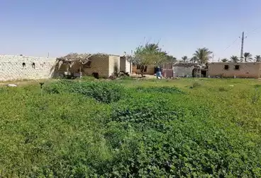 Farm For sale