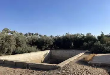 أراضي للبيع