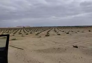 Farm For sale