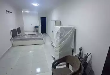 Apartments For rent - 1 rooms - floor 6