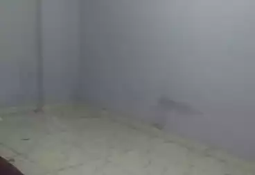 undefined undefined - 2 rooms - floor 1