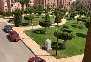 شقق للإيجار - 3 غرف - بالدور 2