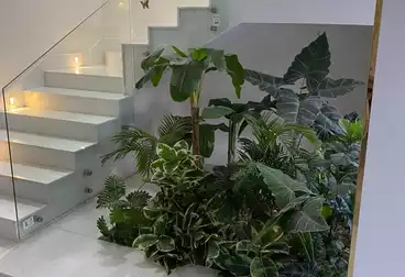 Twin House For rent - 4 rooms