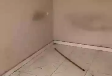 عمارات للإيجار